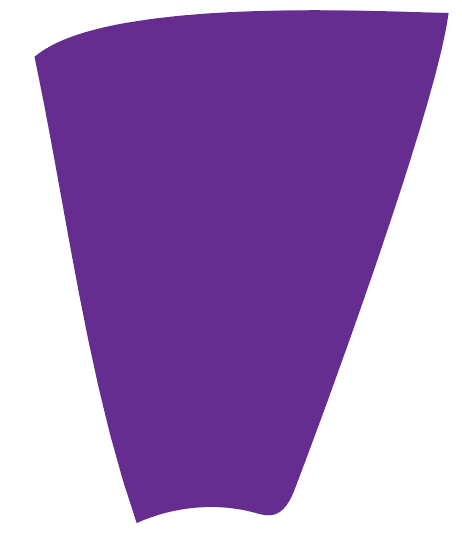 Purple color swatch