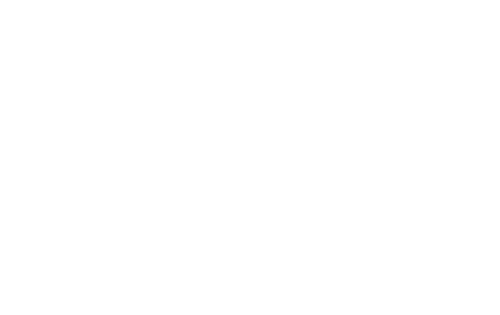 Jade Simmons 2020 Presidential Candidate