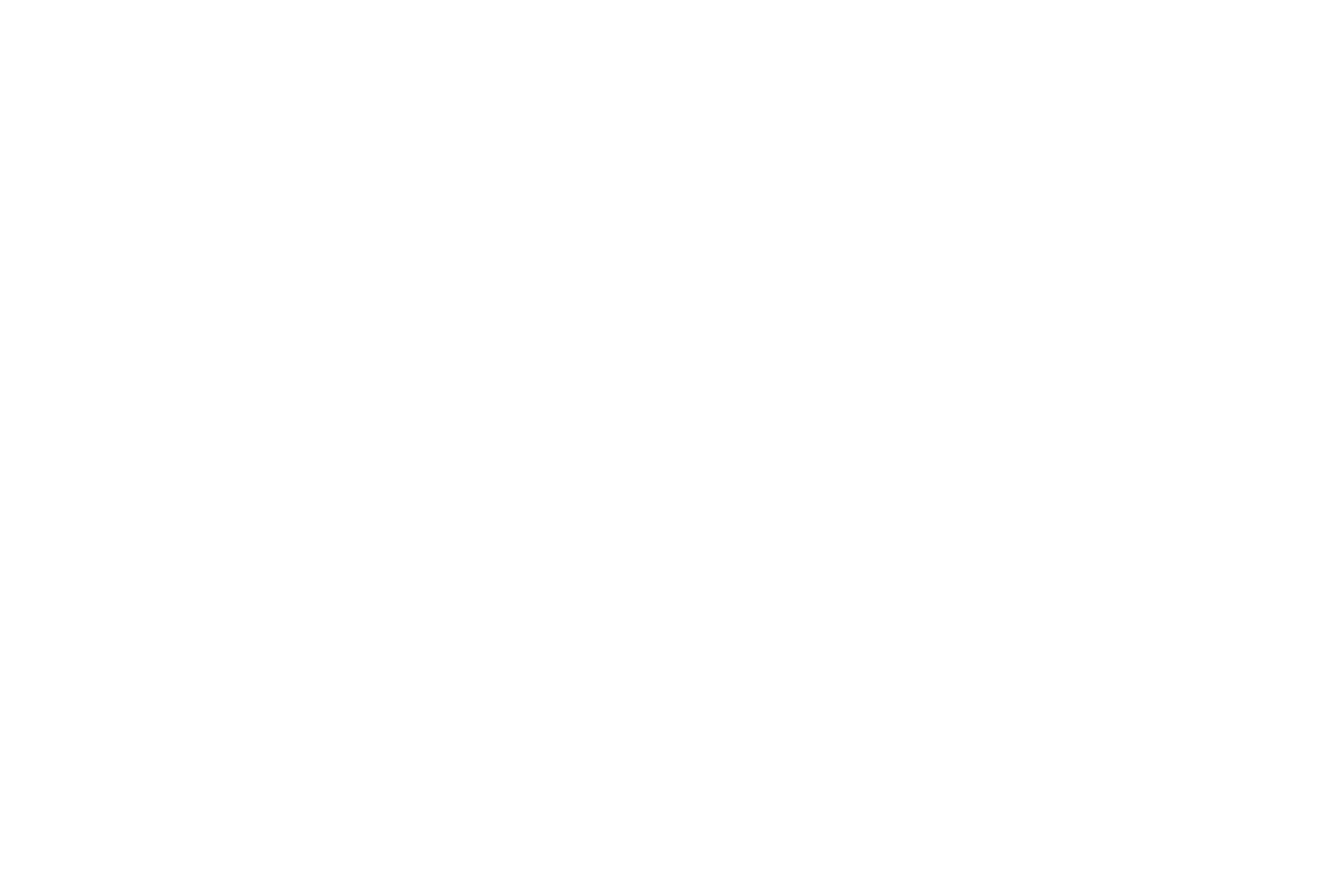 Jade Simmons 2020 Presidential Candidate