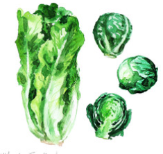 vegan greens for cooking