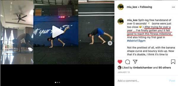 handstand toolkit review