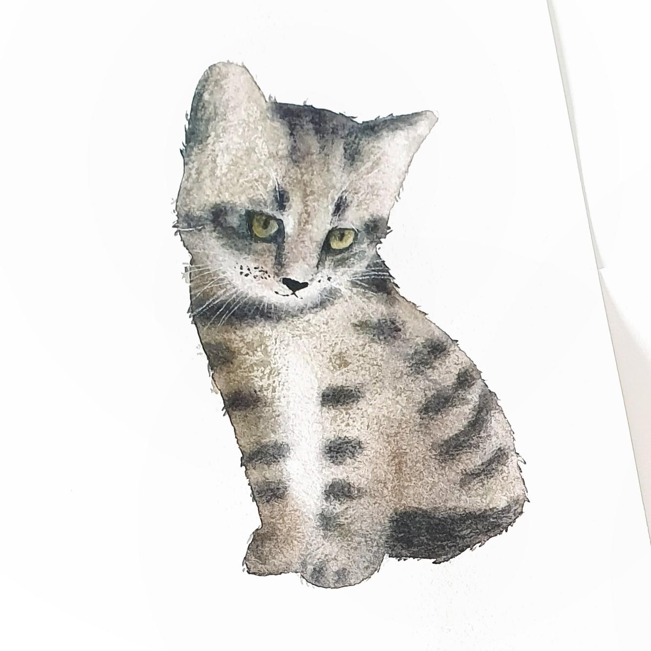 Placeholder Image
