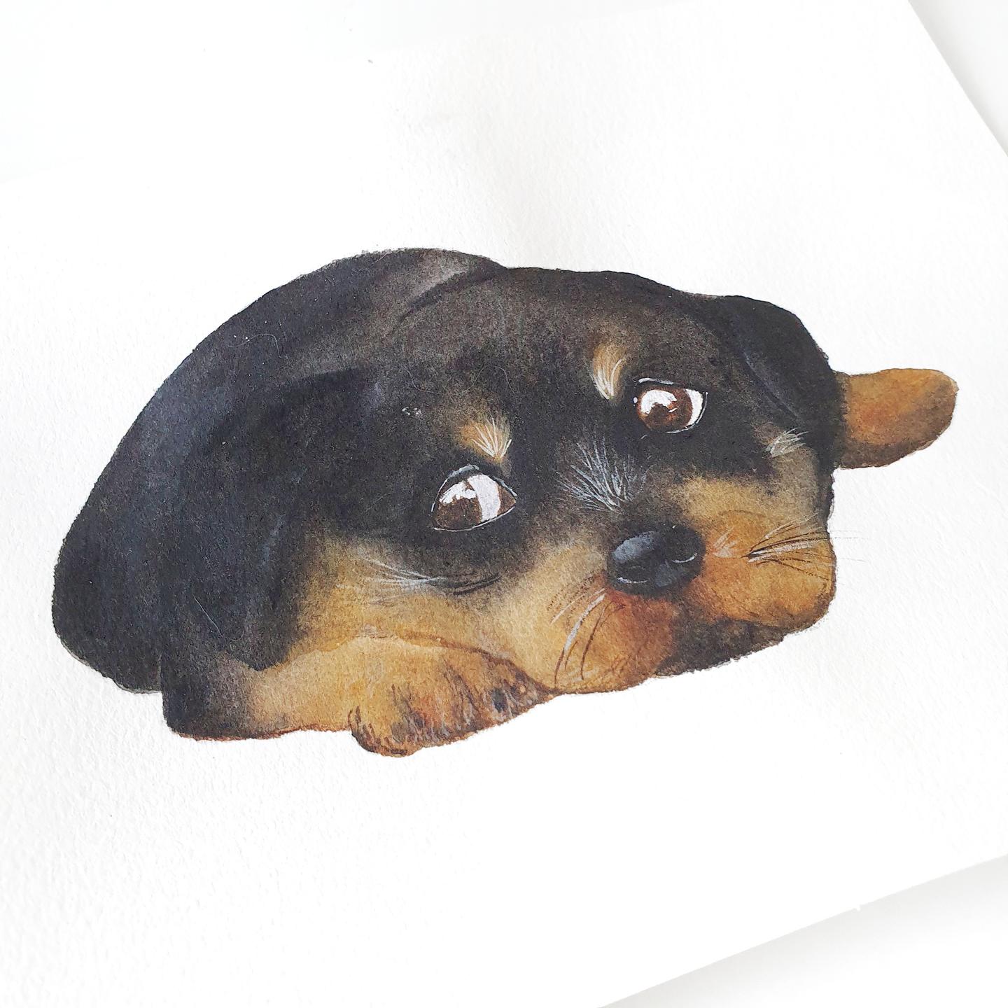 Placeholder Image
