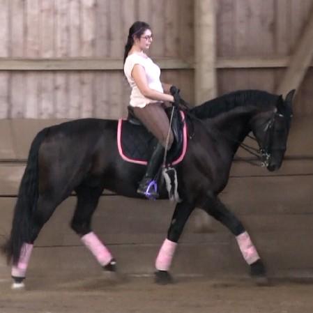 Reiterstimme – Julia