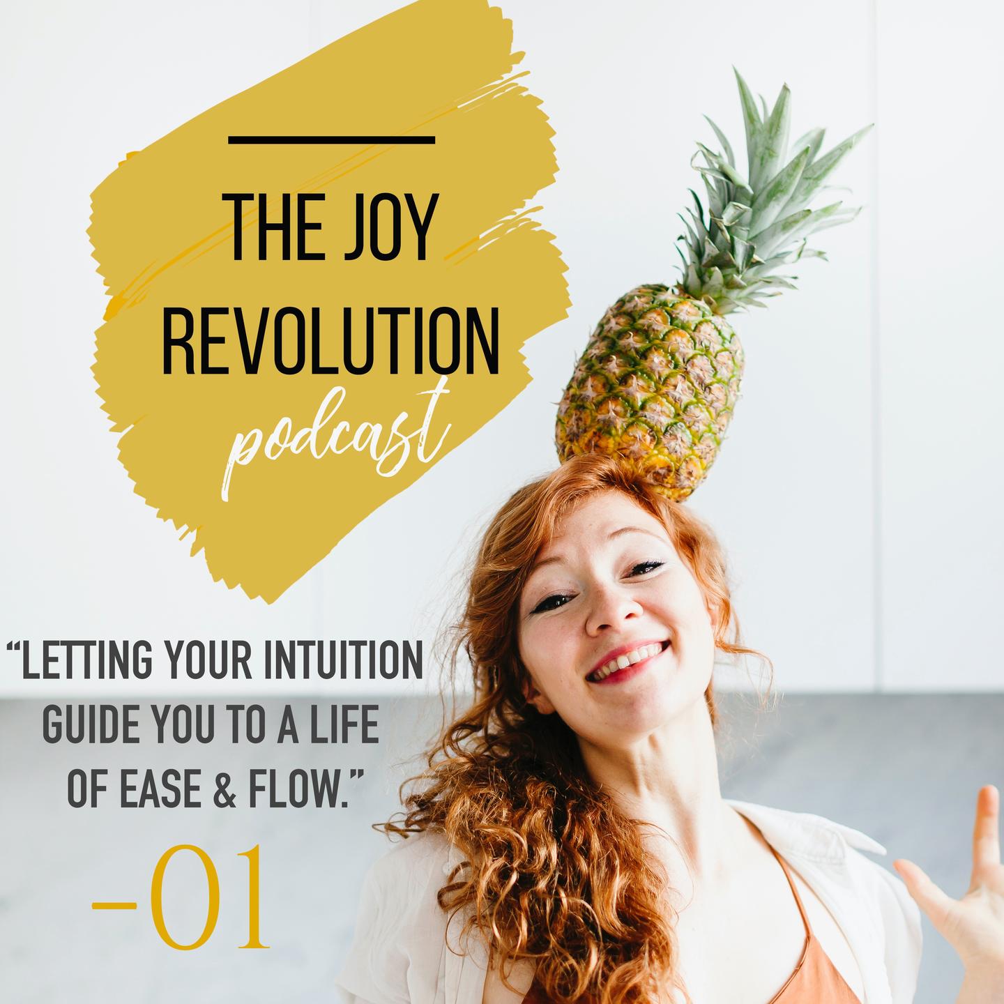 The Joy Revolution Podcast - Isabelle Ysebaert