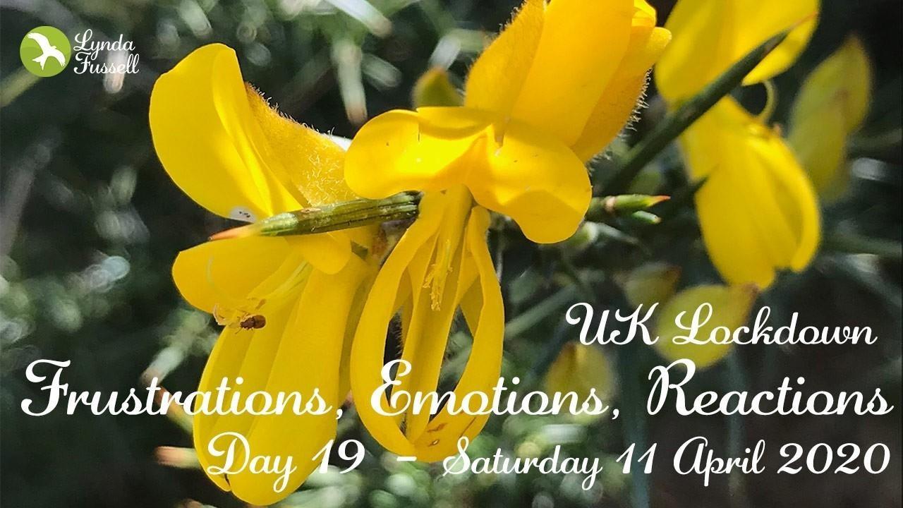 UK Lockdown - 11 April 2020: Frustrations, Emotions, Reactions