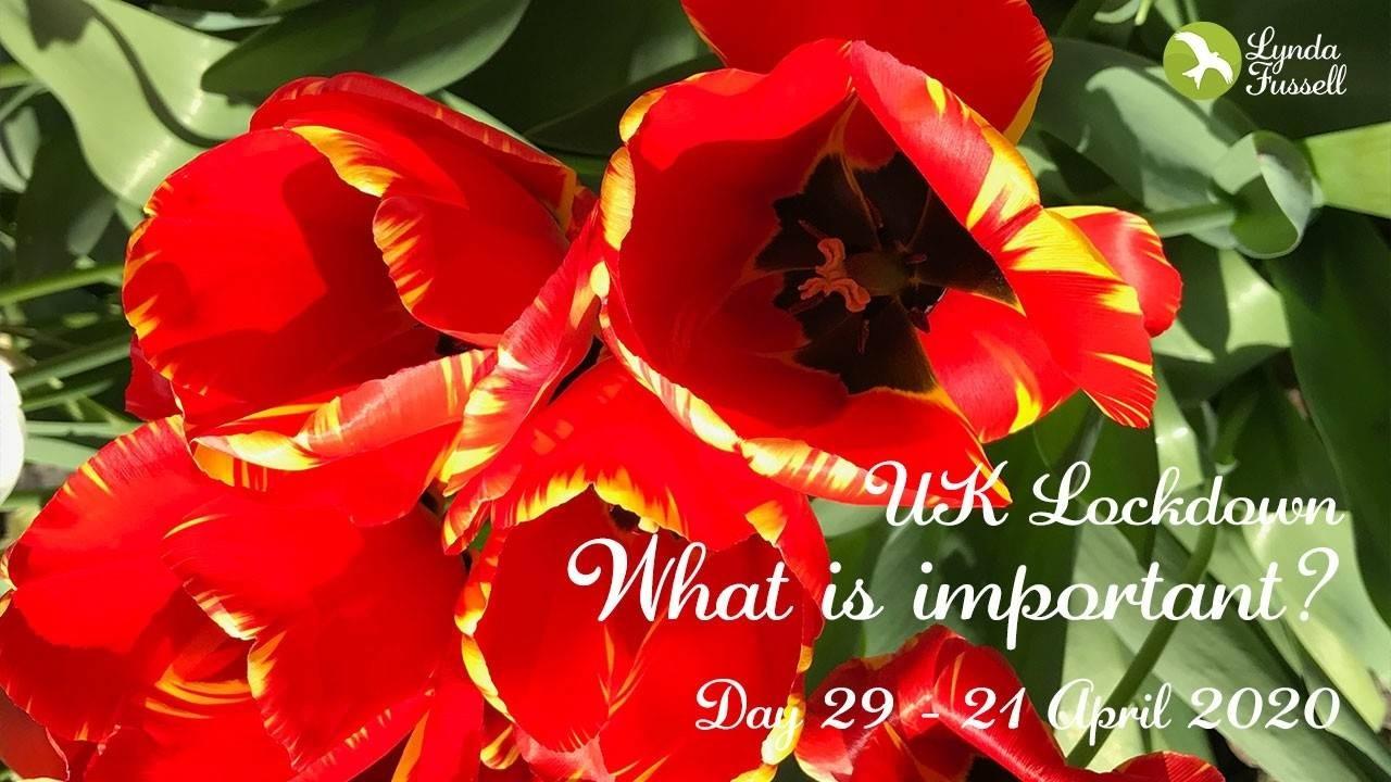 What is important? - Day29 UK Lockdown