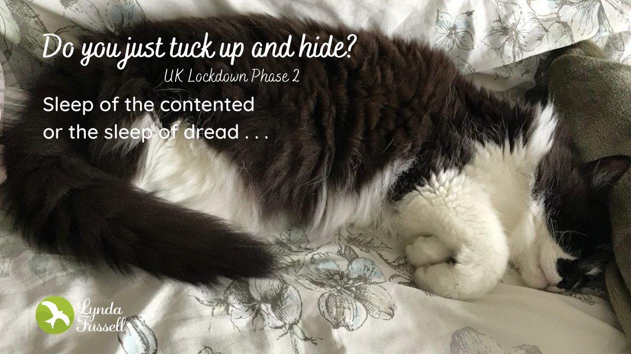 UK Lockdown - 18 April 2020: Connecting and Engaging