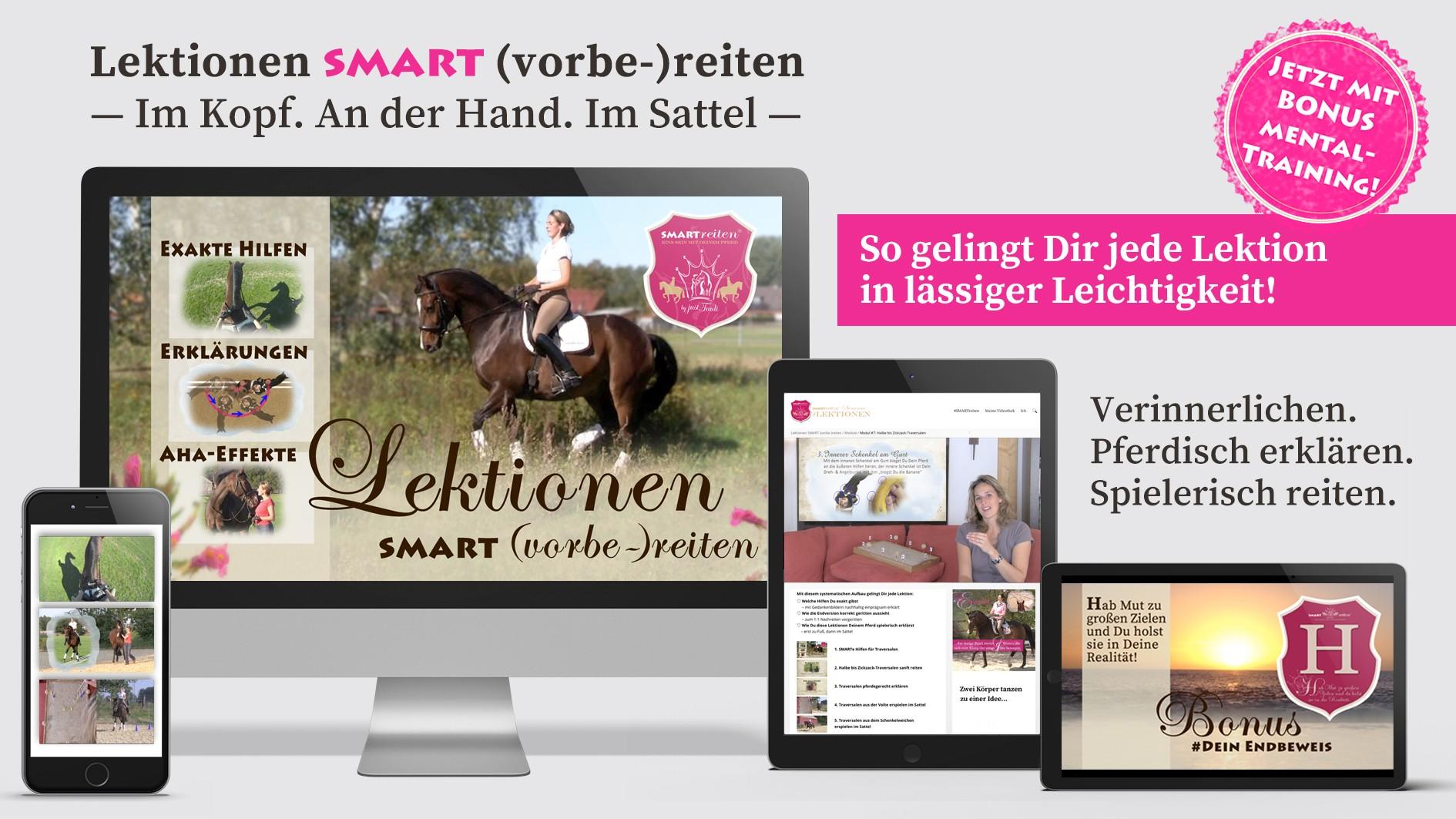 Lektionen SMART (vorbe-)reiten