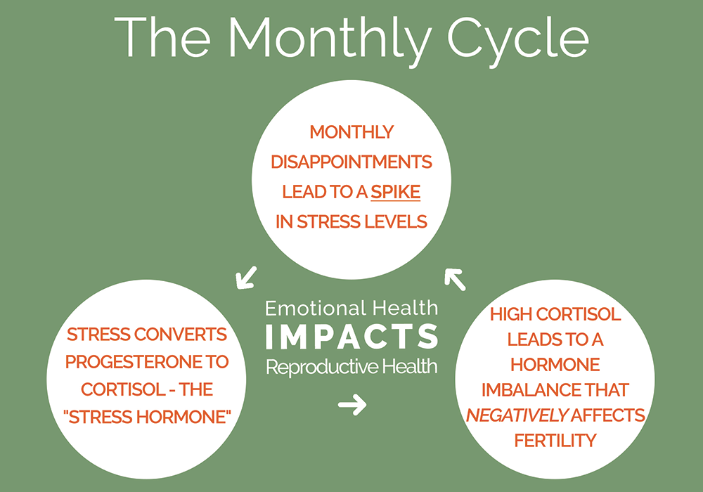 Organic Conceptions Monthly Cycle Graphic