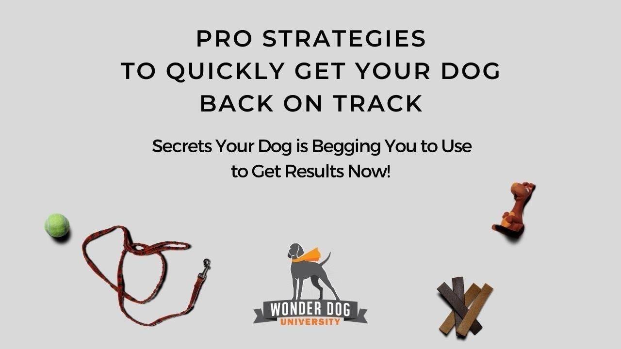 Pro Strategies Guide E-Book