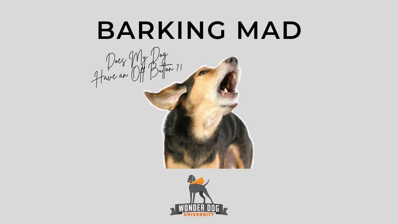 Barking Mad E-Book