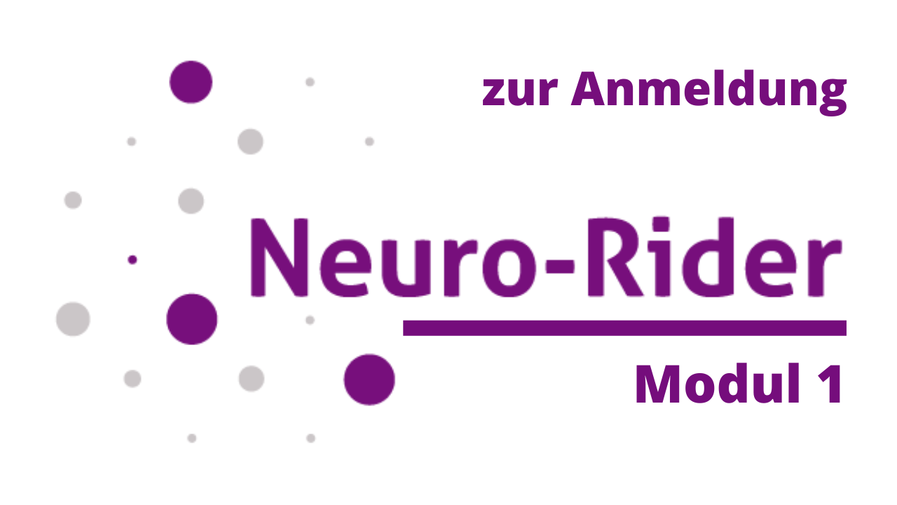 Neuro Rider Modul 1
