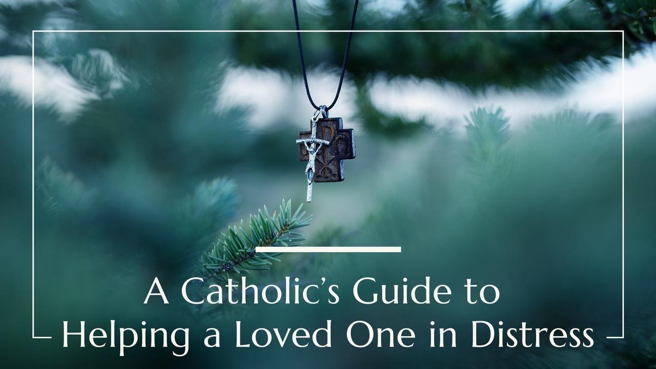 Catholic's Guide to Helping a Loved One in Distress, mental health