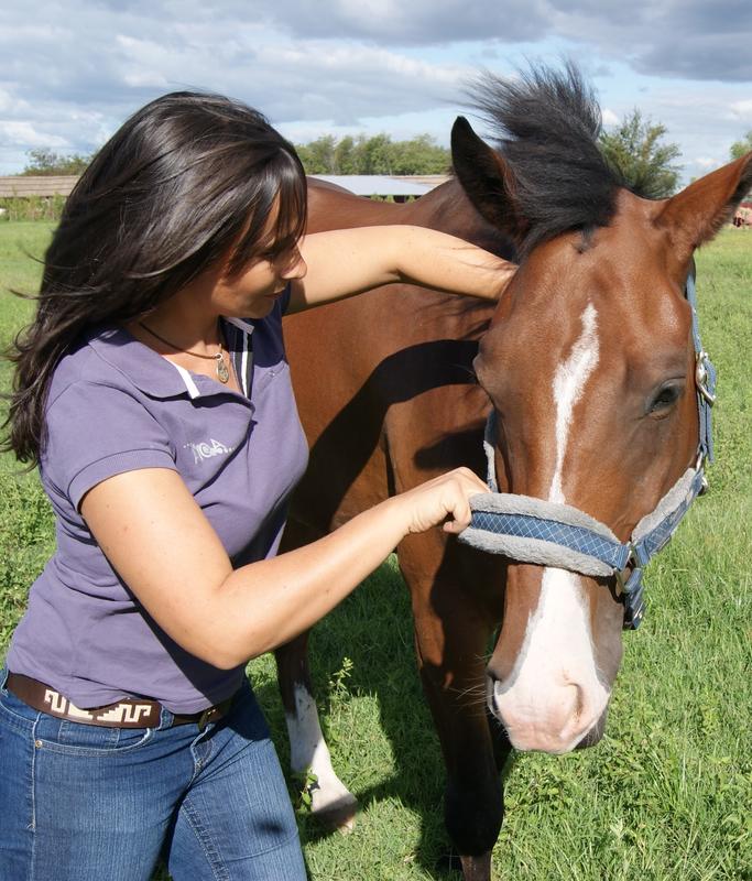 Educación en quiropráctica animal y terapias manuales