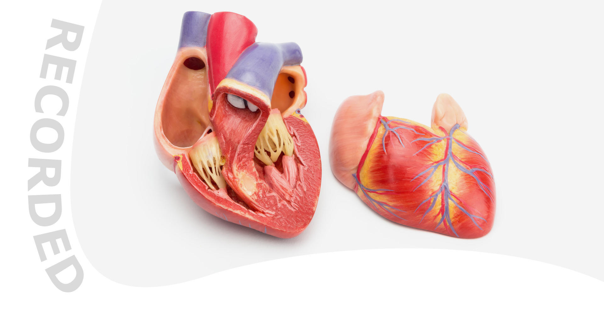 Cardiology