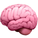 Train Your Mind