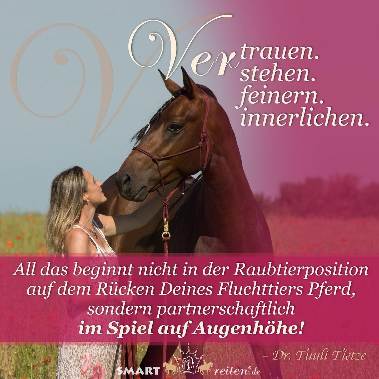 Vertrauen. Verstehen. Verfeinern. Verinnerlichen.