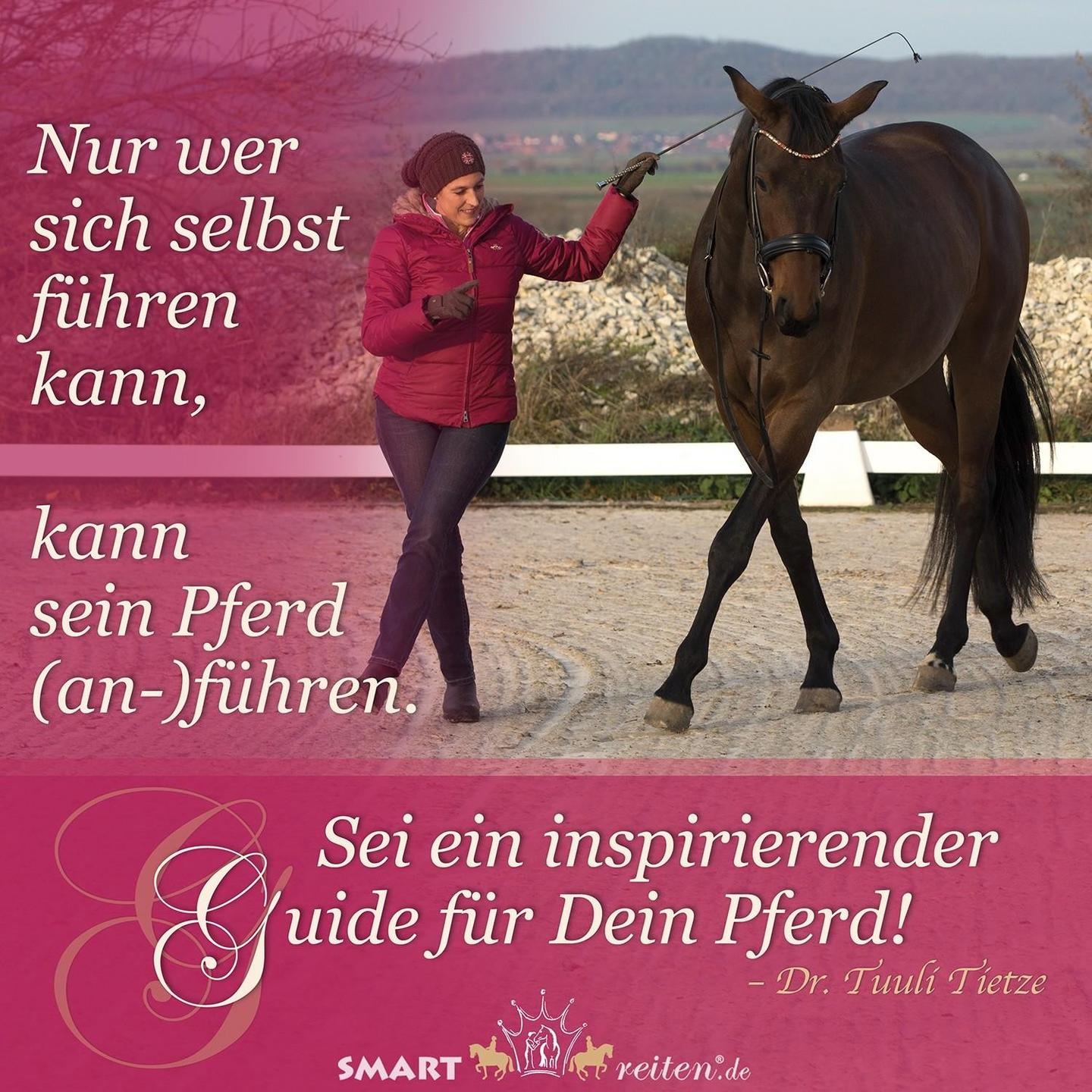 Sei ein inspirierender Guide für Dein Pferd!