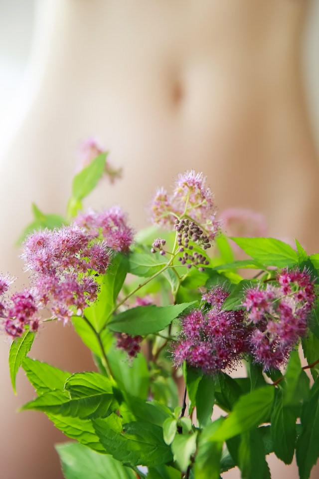 Einkaufsliste Ayurveda