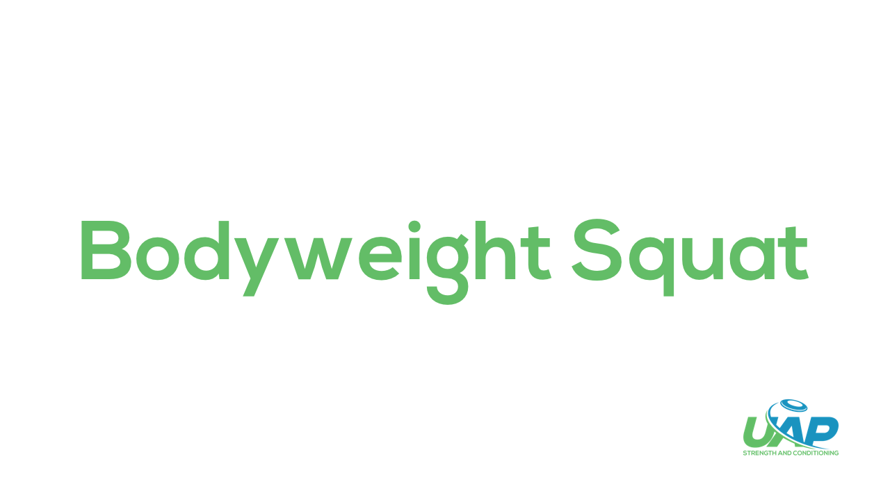 Bf4hqZJRJCF4hzP2URg5_Bodyweight_Squat.png