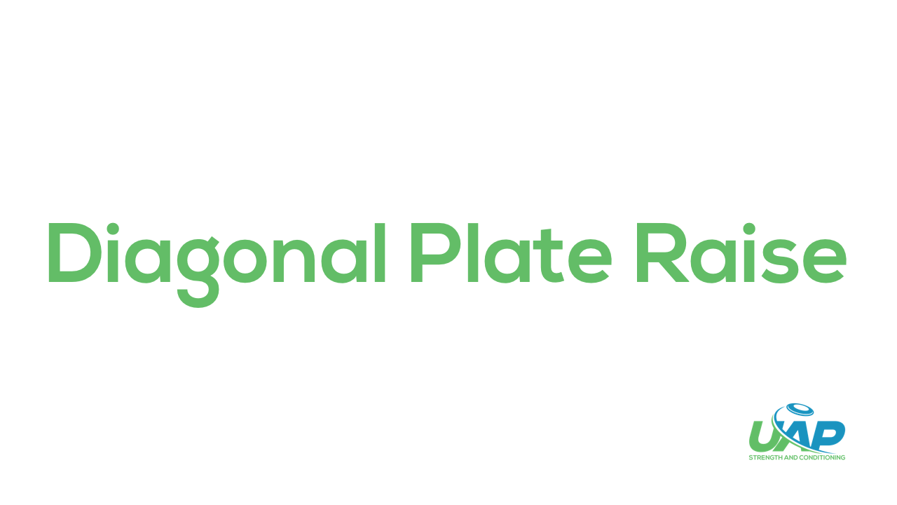 tk1Yrk2HROeEpiMfZanH_Diagonal_Plate_Raise.png
