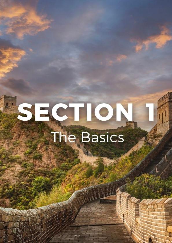 Section 1 - The Basics