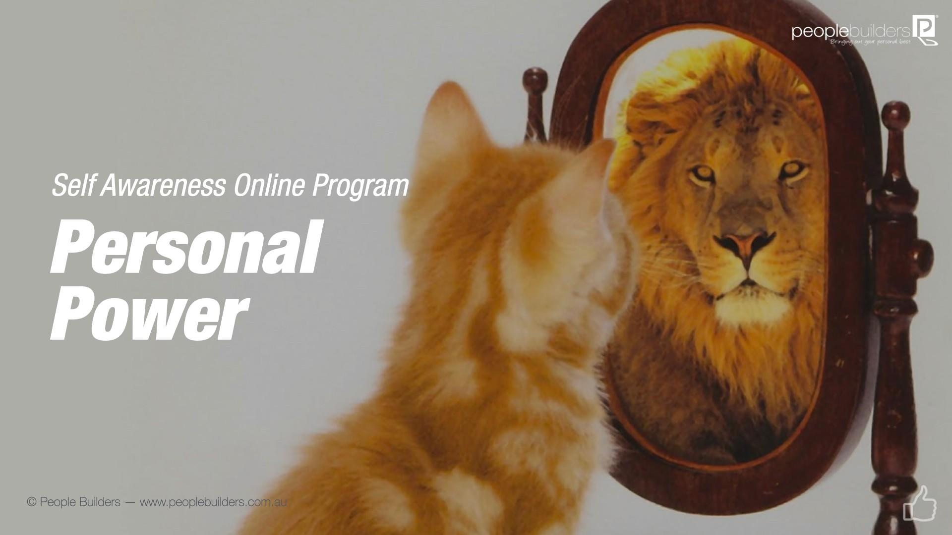 Personal Power Training poster showing cat seeing himself as a tiger.