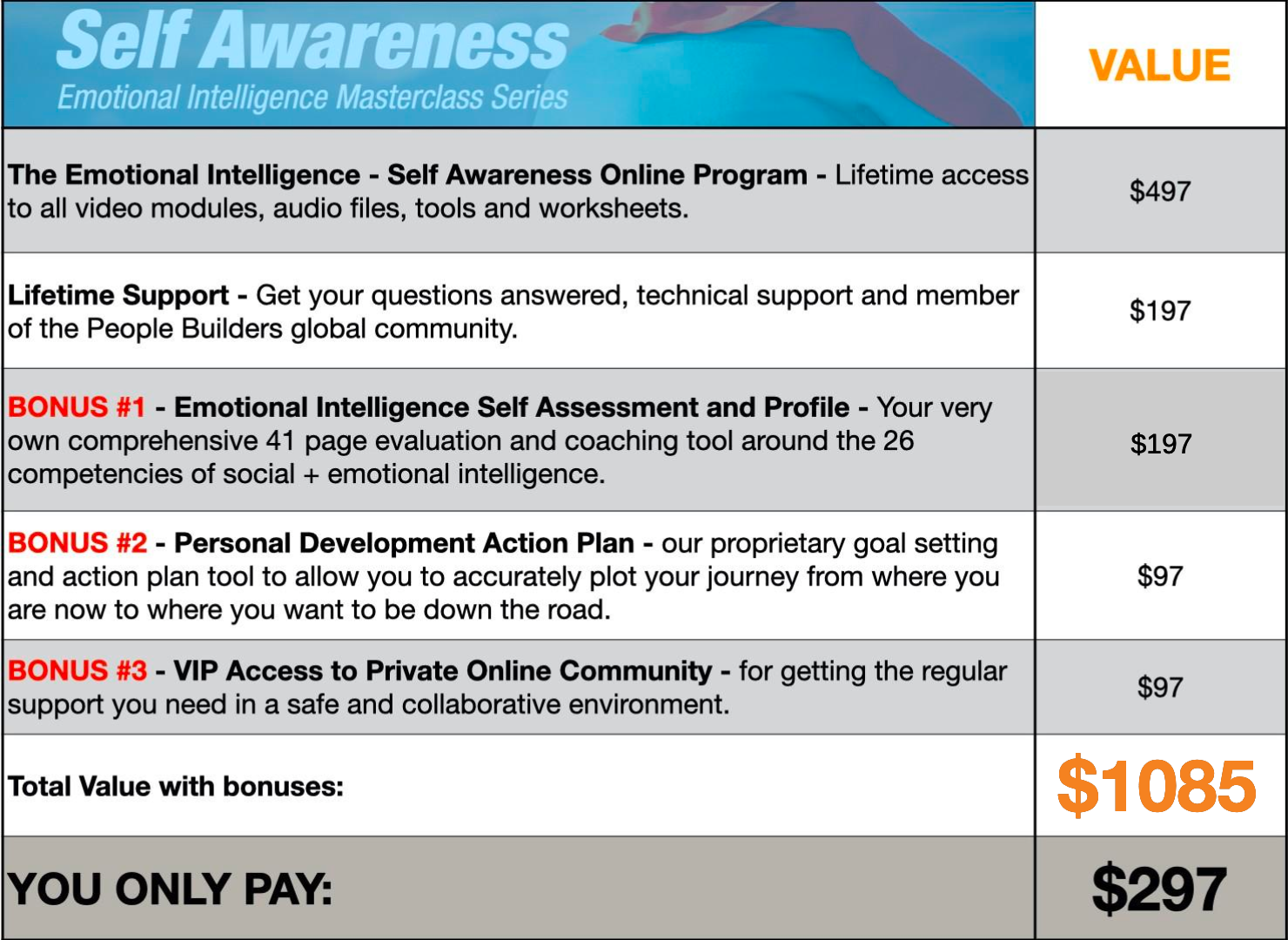 Self Awareness Pricing