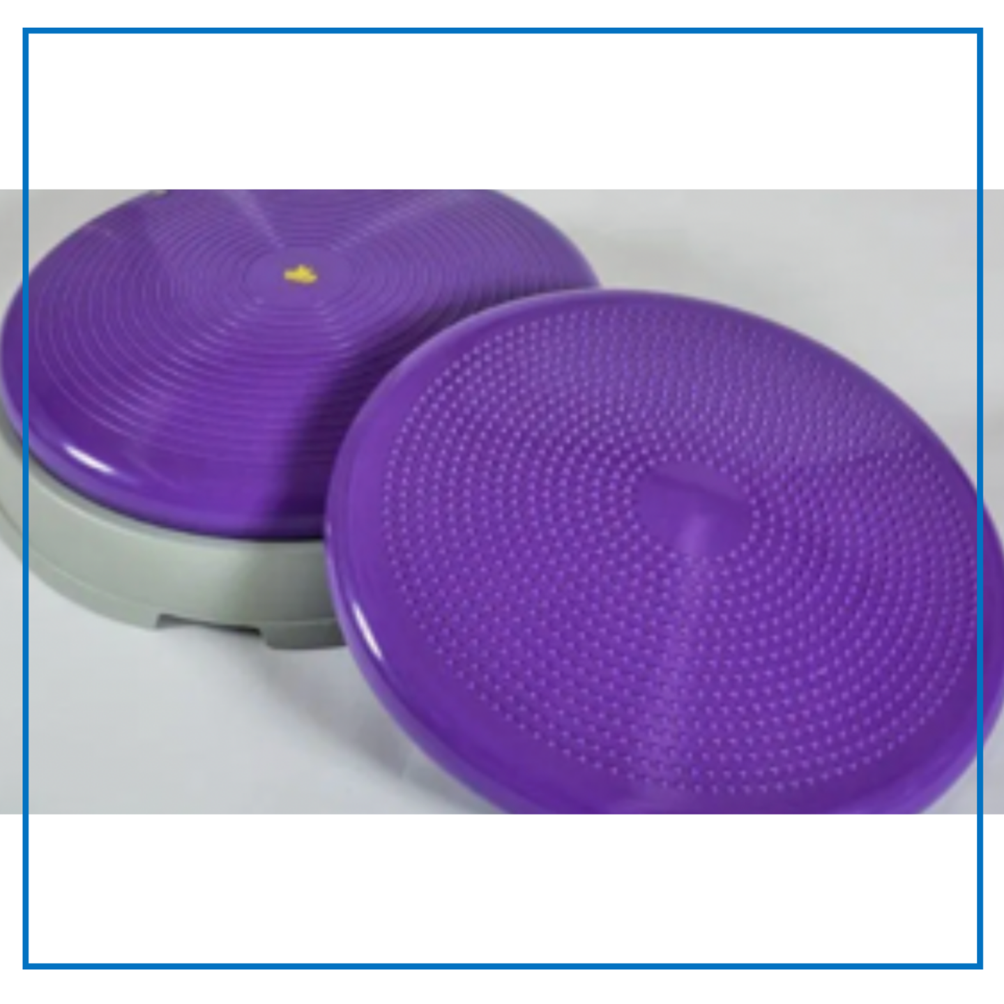 K9 Kore Disk with Base