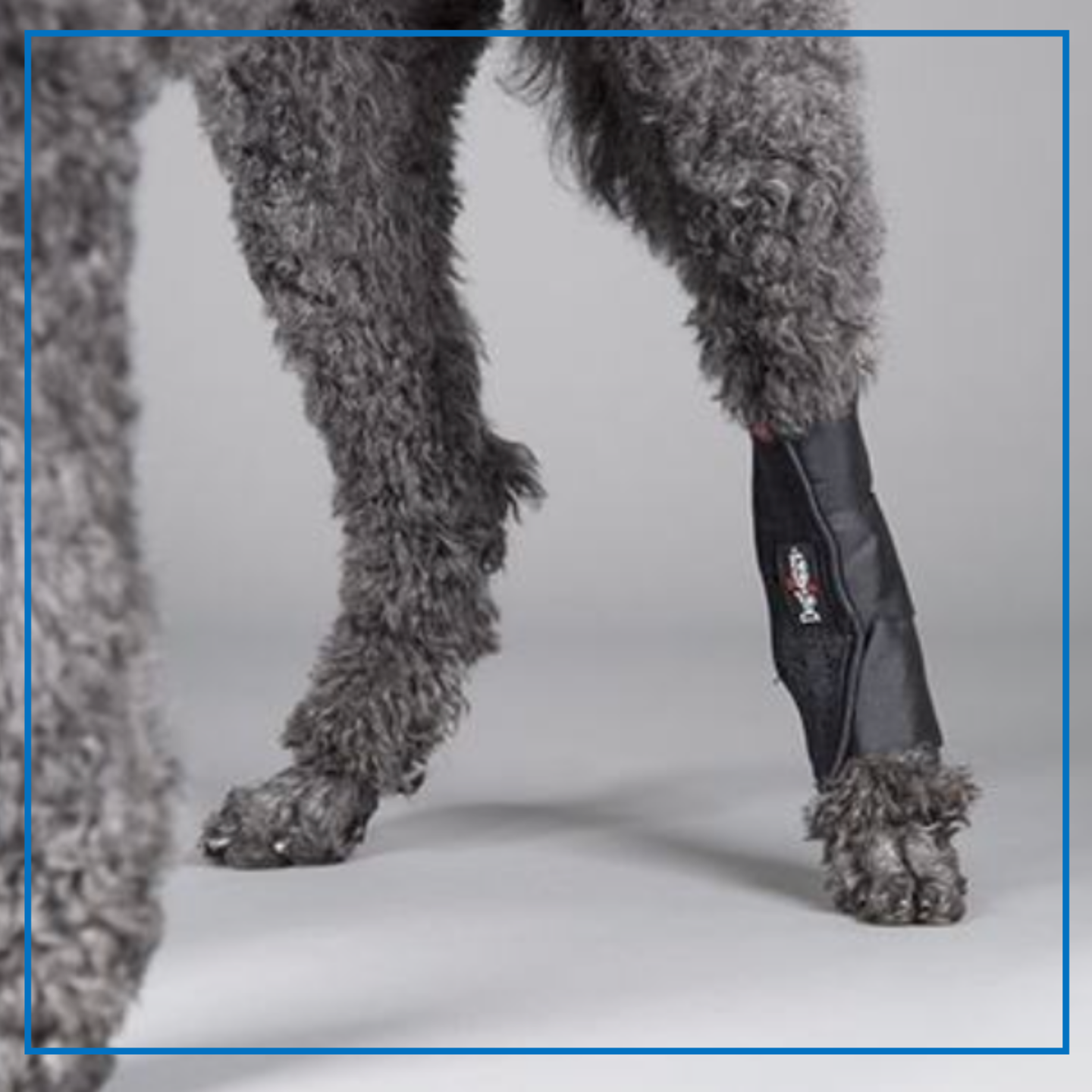 DogLeggs Tarsus Wrap