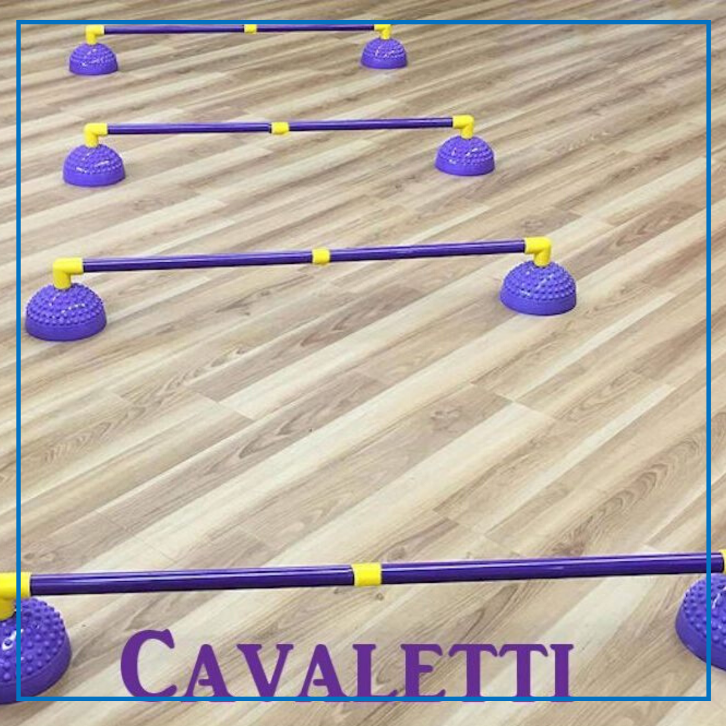 TotoFit (Cavaletti – Set of 4)