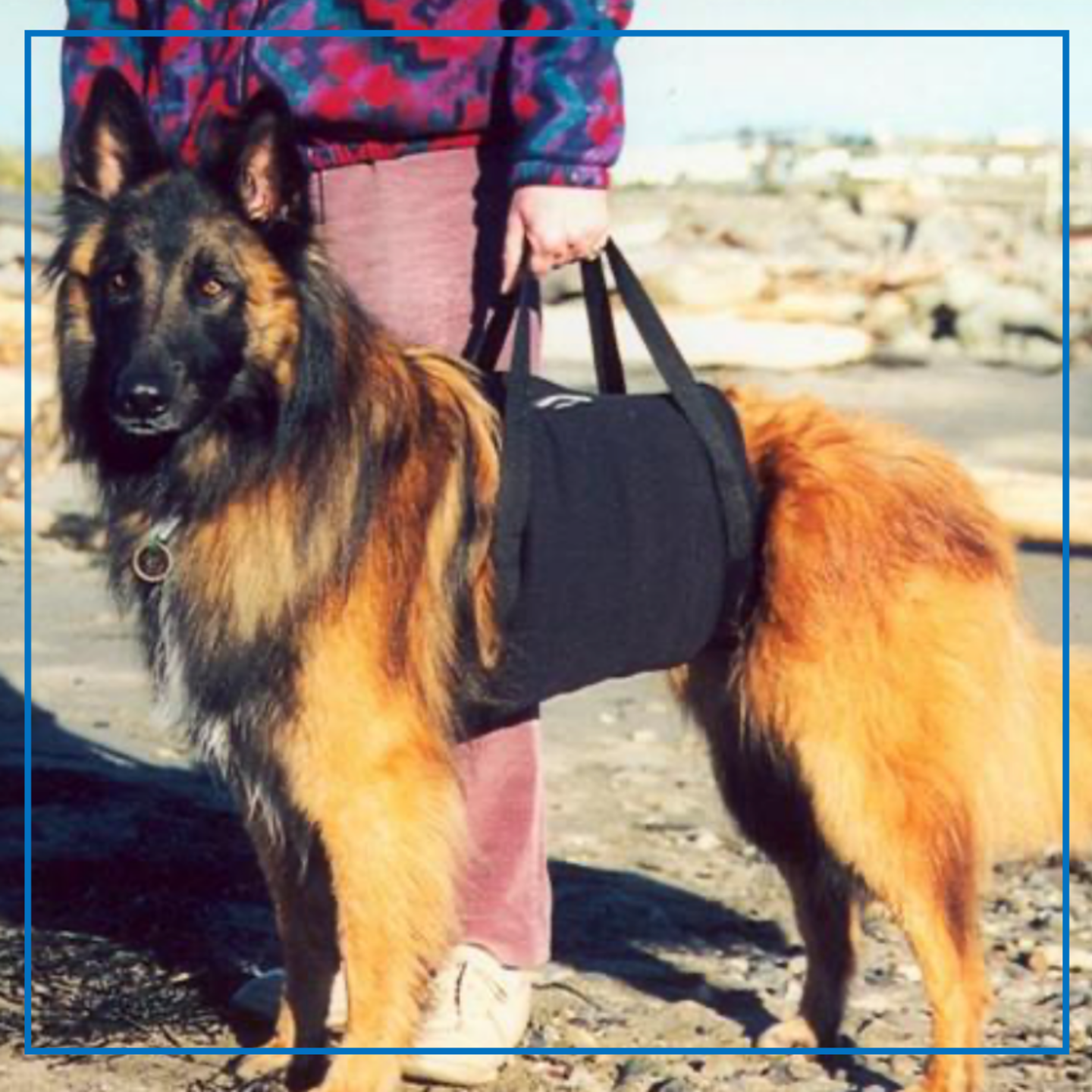 Walkabout Support Sling