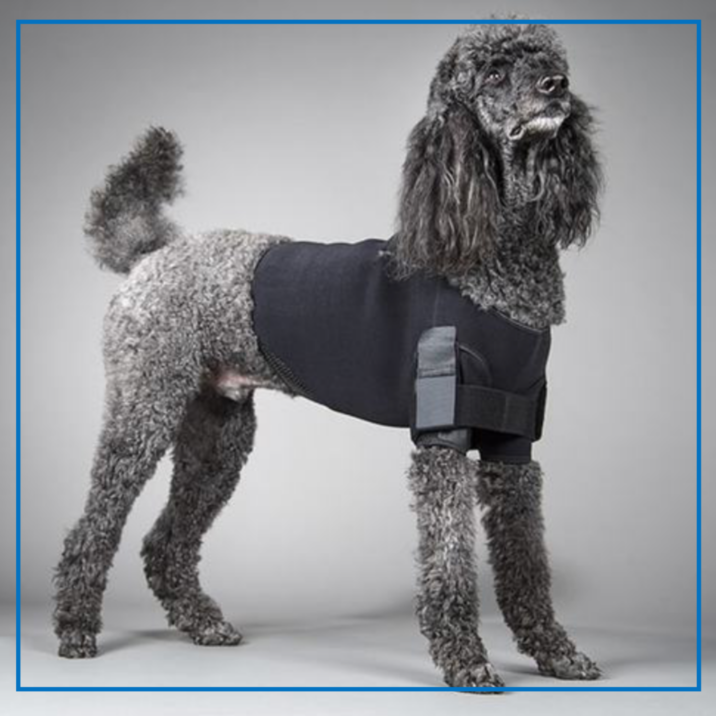 DogLegs (Shoulder Vest Stabilization)