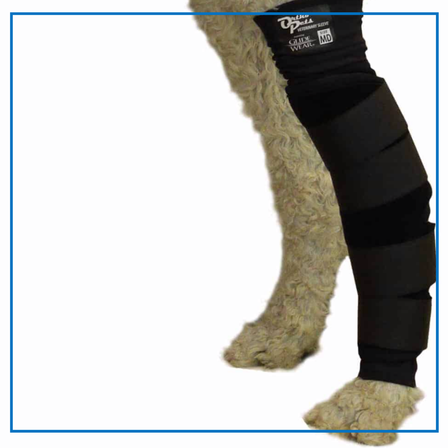 Orthopets (Tarsus Srap)
