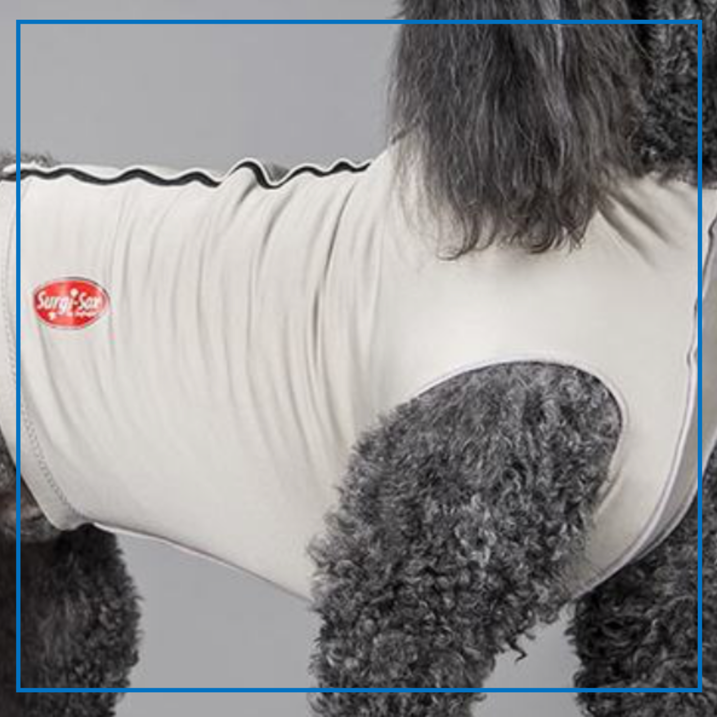 DogLeggs (Surgi-Sox Torso Veslcro)
