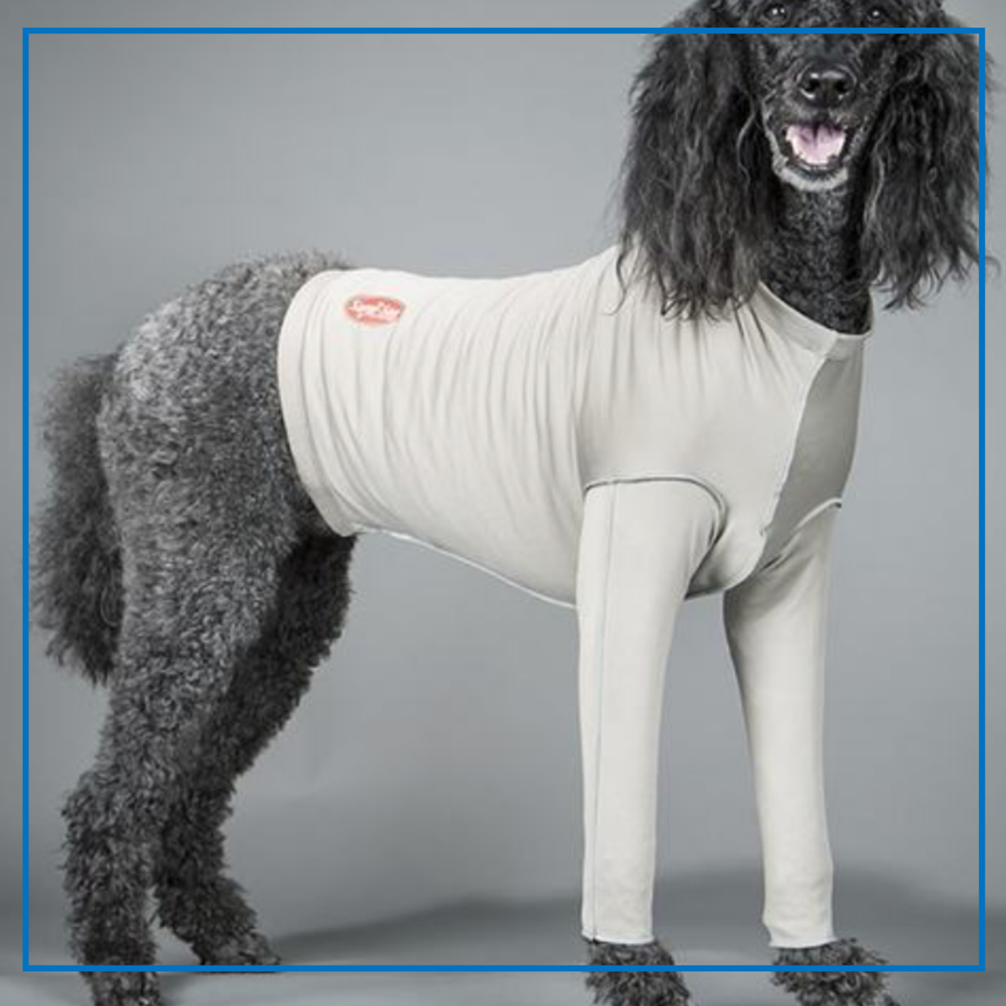 Surgi-Sox Forelimb Leggings (DogLeggs)