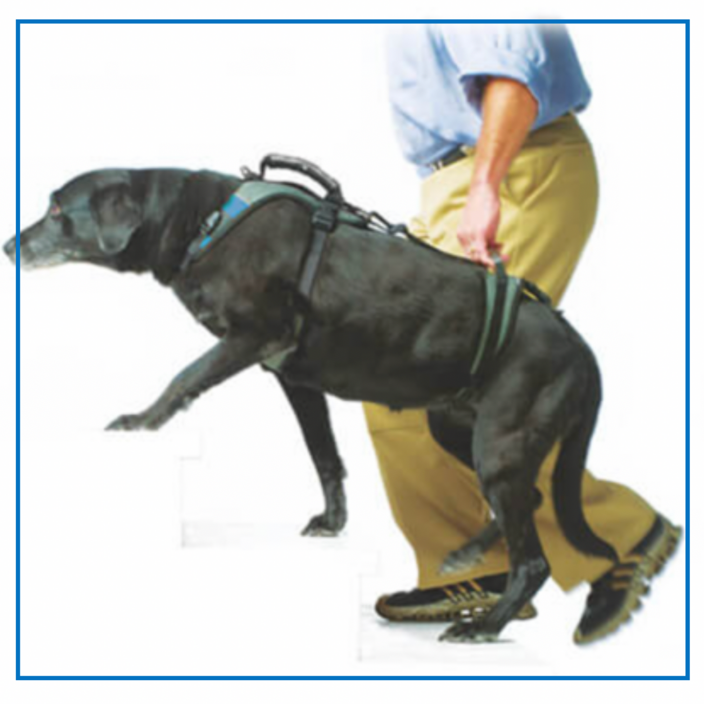 Help 'Em Up harness