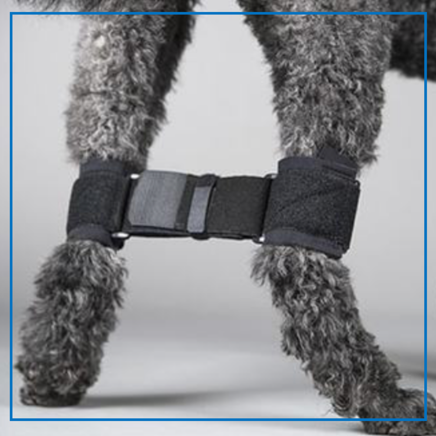 DogLeggs (Rear Legs Hobble System)