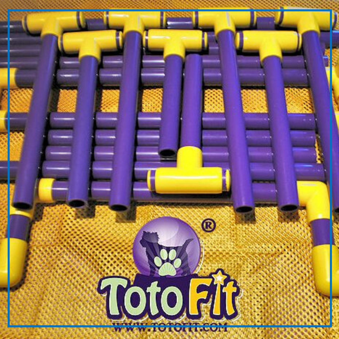 TotoFit ( INFINITYMountainâ„¢ Holder)