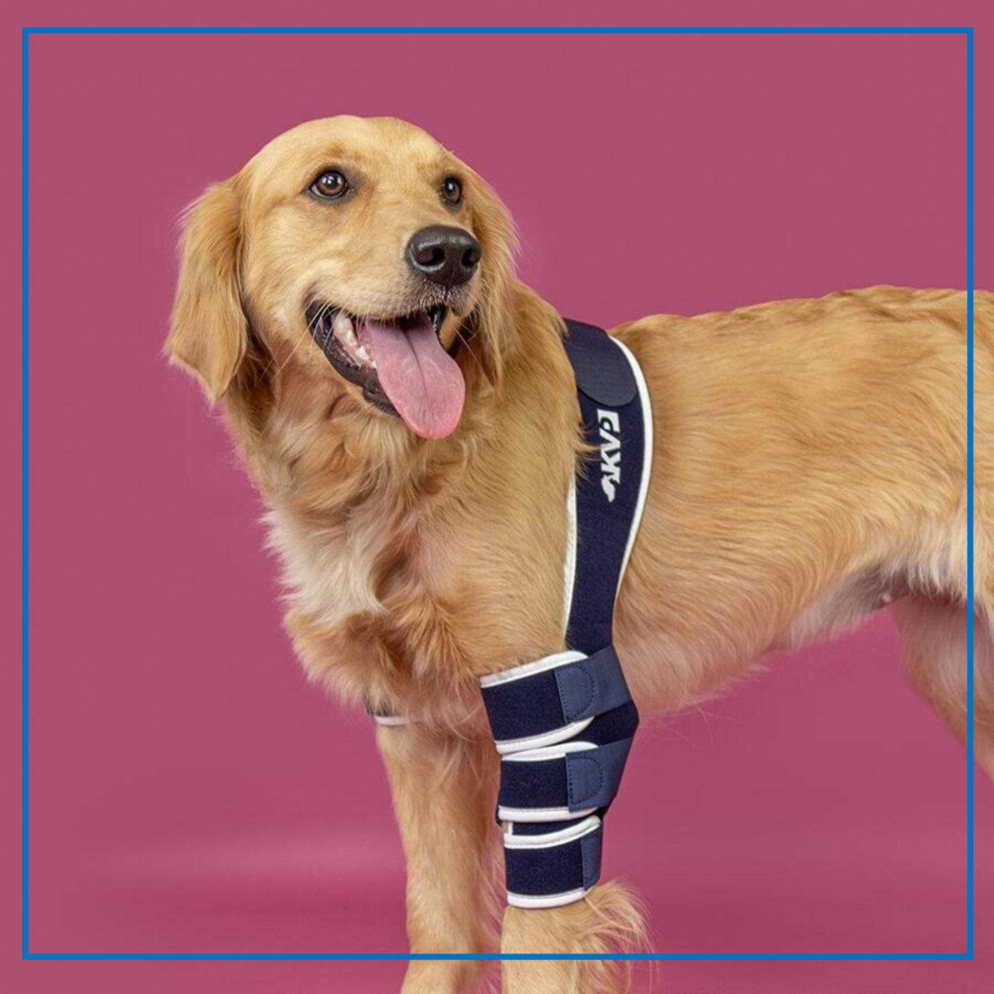 KVP (Balto Soft Elbow)