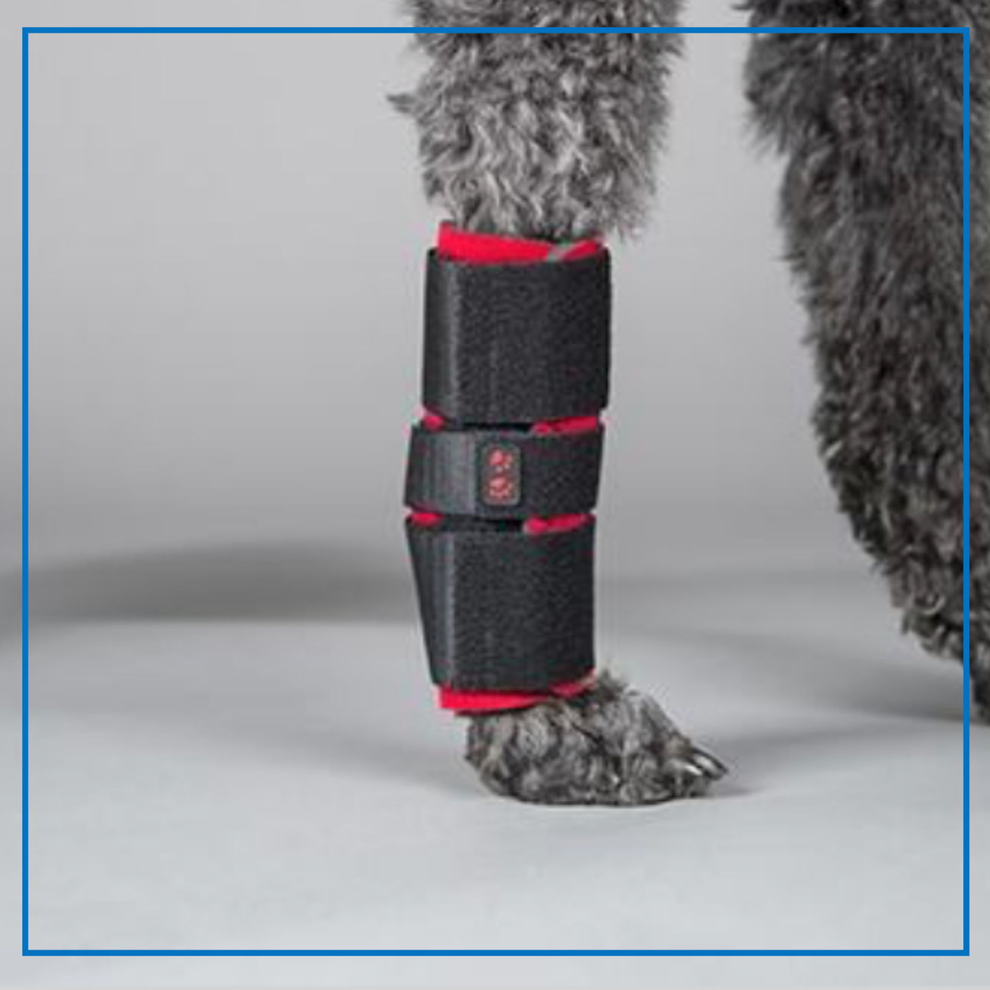 DogLeggs (Carpus Wrap)