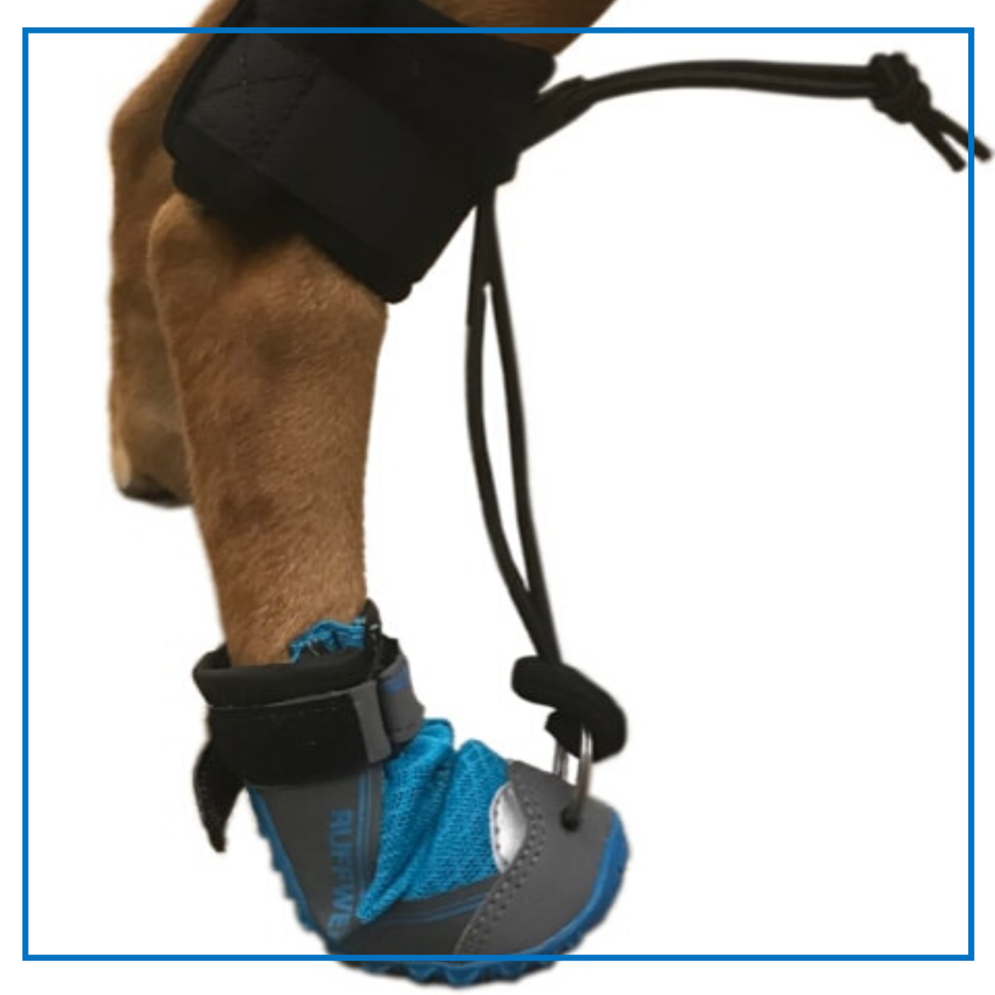 Orthopets (Toe Up)