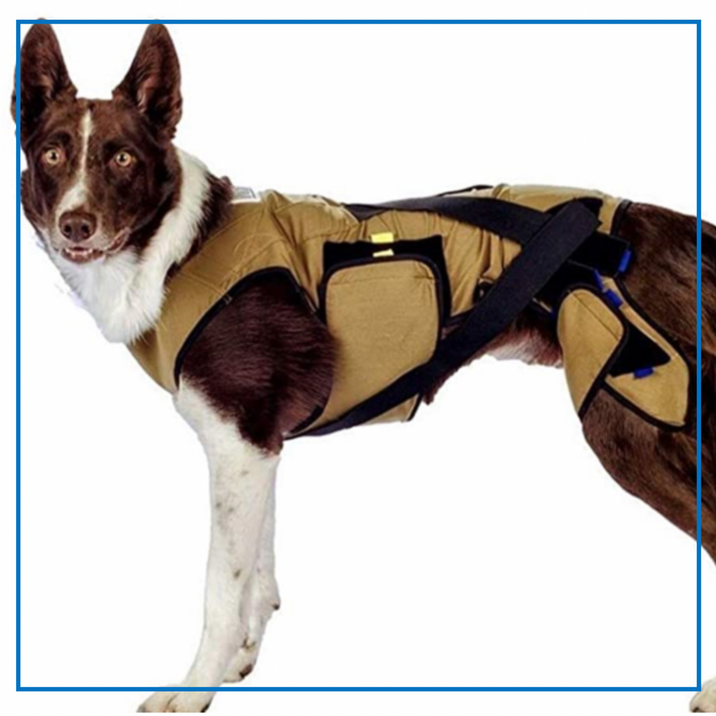 K9 Hiplign