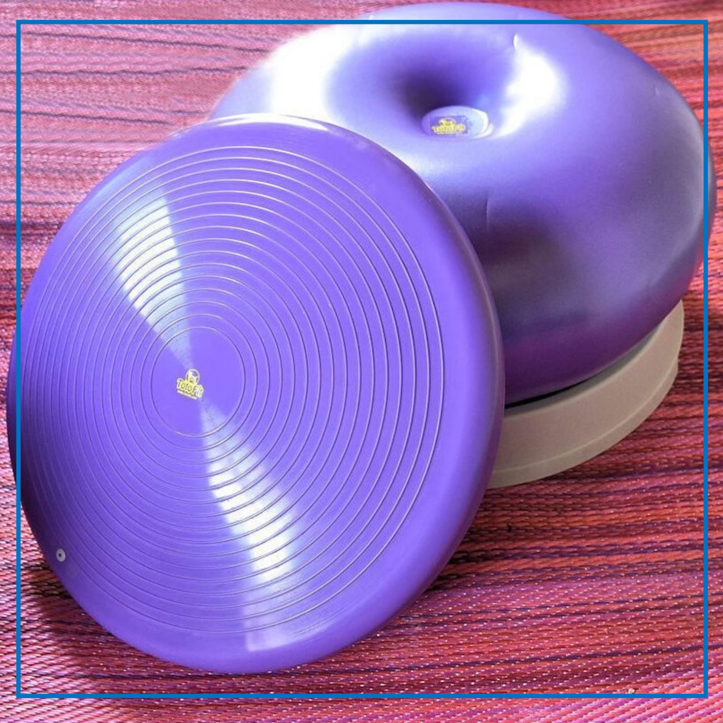 TotoFit (K9 Kore DISK/Base and ORBit Package)