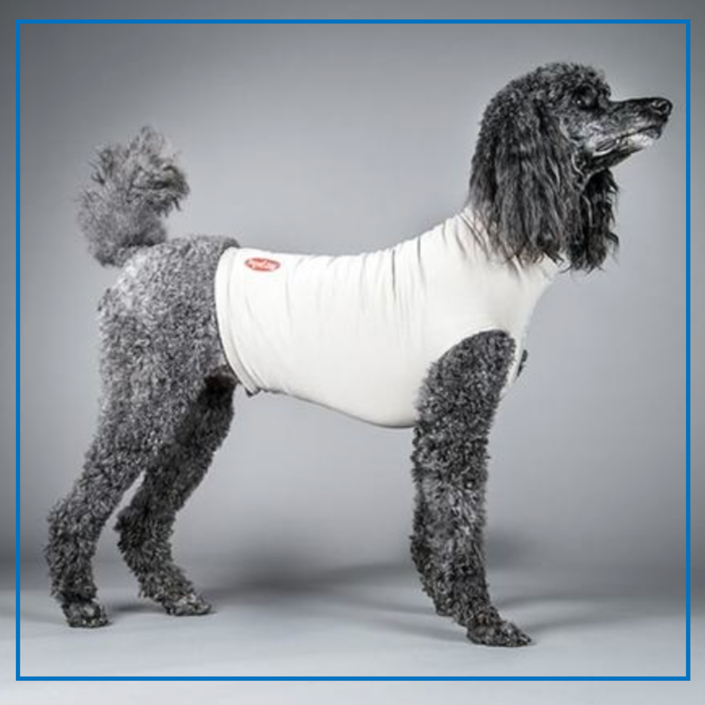 Ruffwear Quizee Jacket