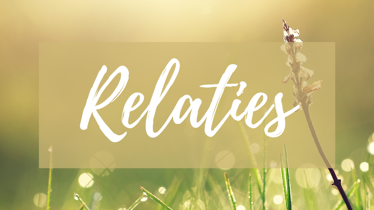 Jeroen Carrein Mindfulness en Numerologie Online Academy week 6