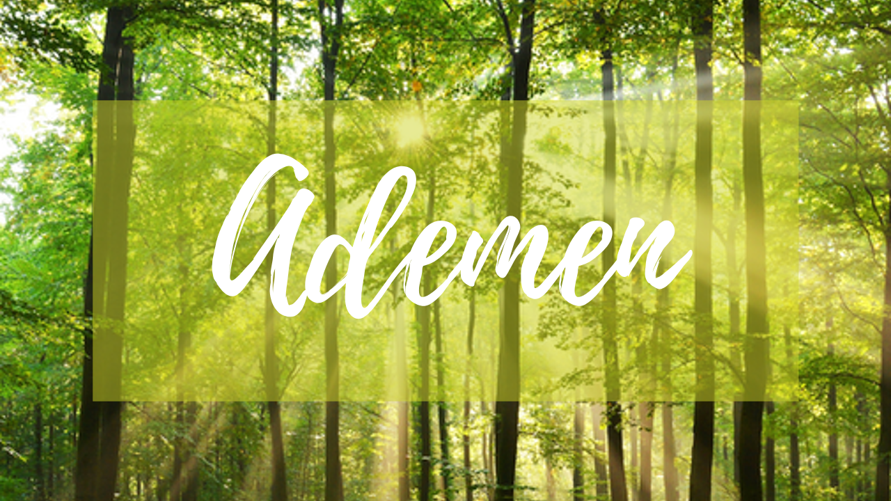 Jeroen Carrein Mindfulness en Numerologie Online Academy week 2