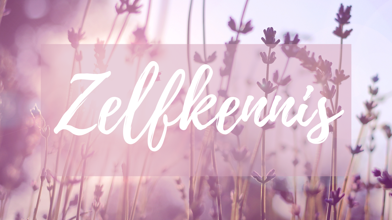 Jeroen Carrein Mindfulness en Numerologie Online Academy week 4