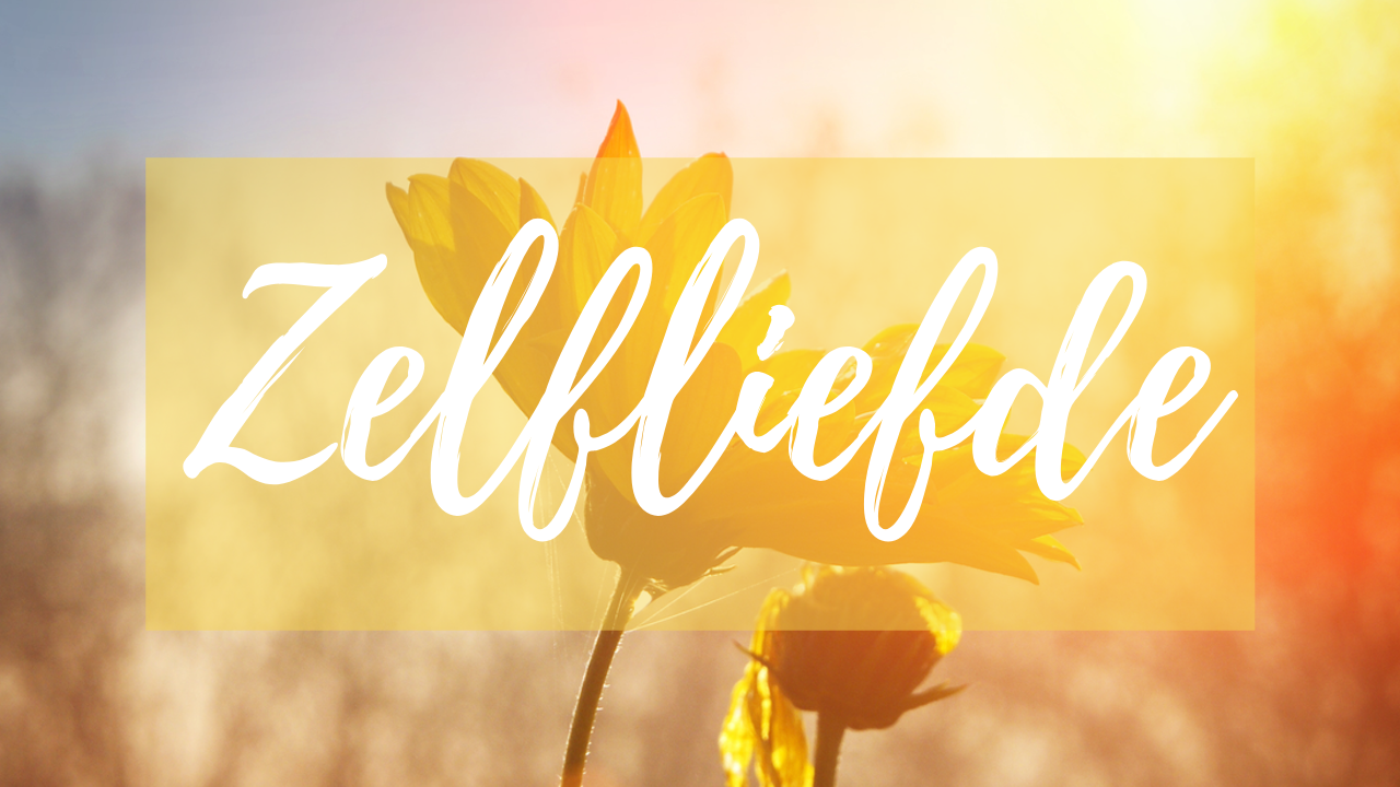 Jeroen Carrein Mindfulness en Numerologie Online Academy week 3